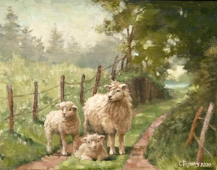 Sheep on a country path 